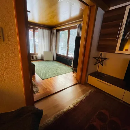 Apartment 5 Zimmer-wohnung Mit Garage Und Sauna