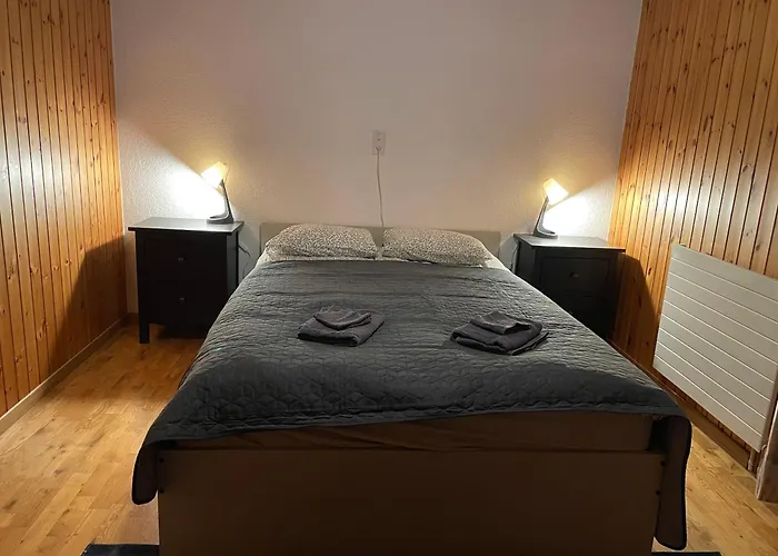 5 Zimmer-wohnung Mit Garage Und Sauna Apartman Sankt Niklaus